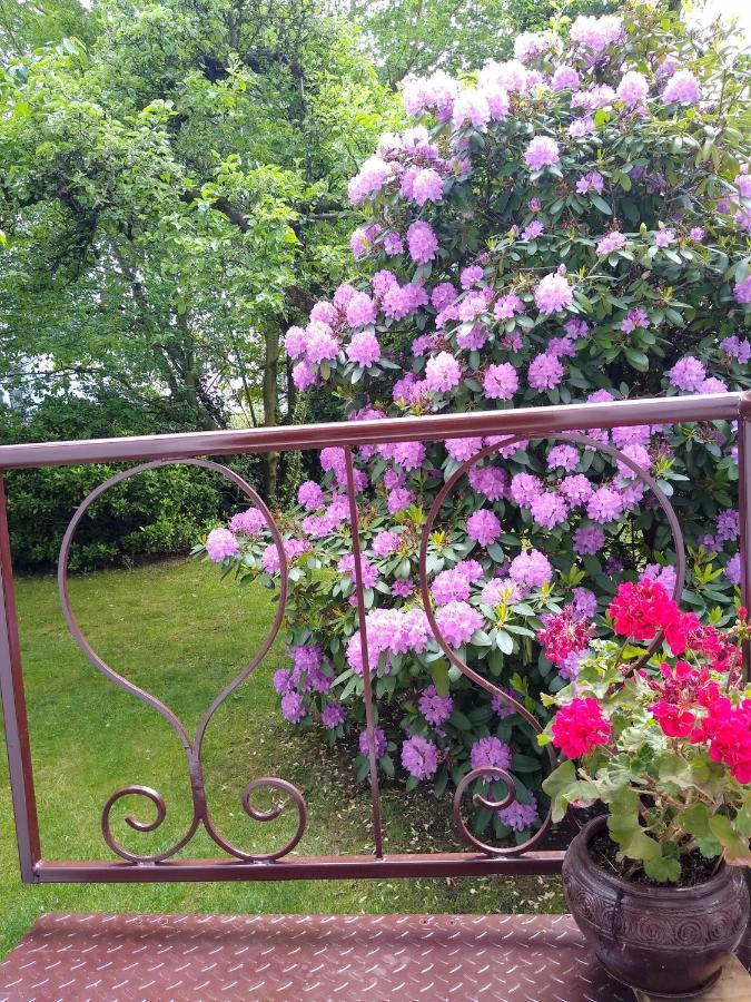 Alster City Garden Villa Hamburgo Exterior foto